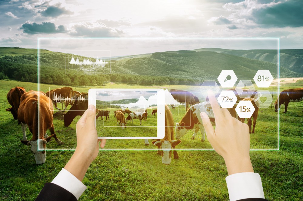 beats365(中国区)-唯一官方网站